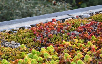 the cost of Crookesmoor green roof installation