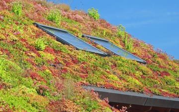 Crookesmoor living roof systems